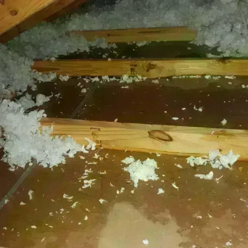 Attic Water Damage in Nutley, NJ