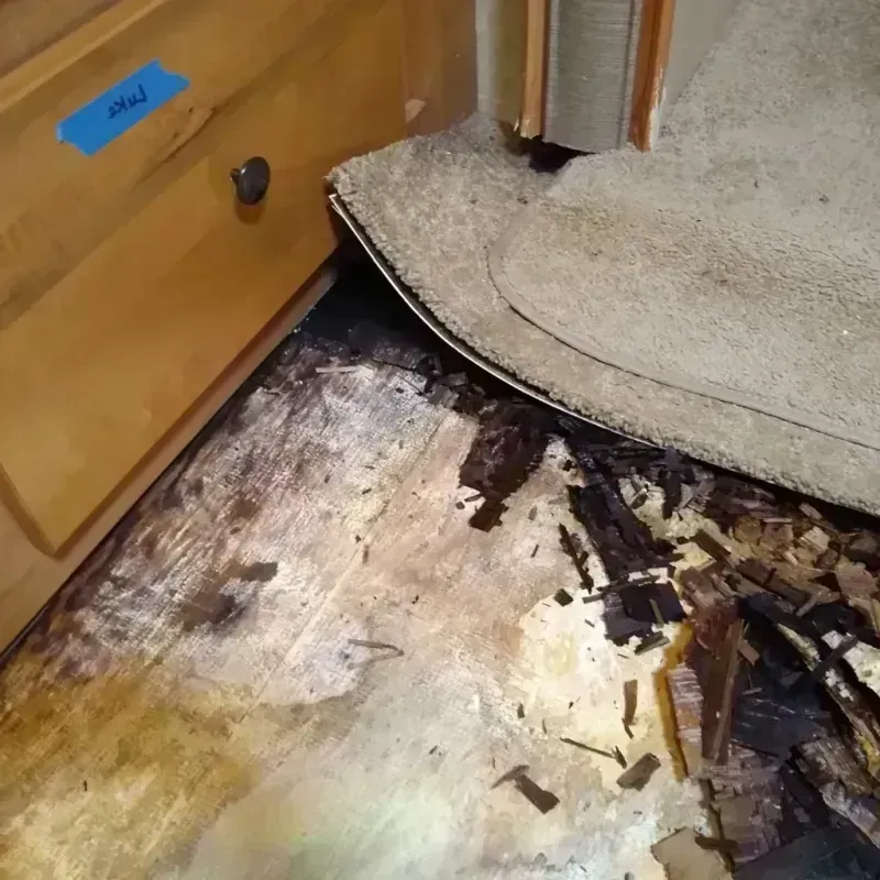 Wood Floor Water Damage in Nutley, NJ